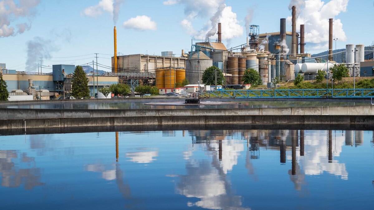 Domtar Crofton Pulp Mill, прекративший деятельность в декабре 2025 г. 
Источник: CBC Canada News
