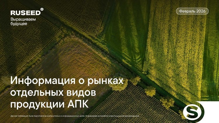    Обзор мировых рынков зерна и масличных культур за февраль 2026 года