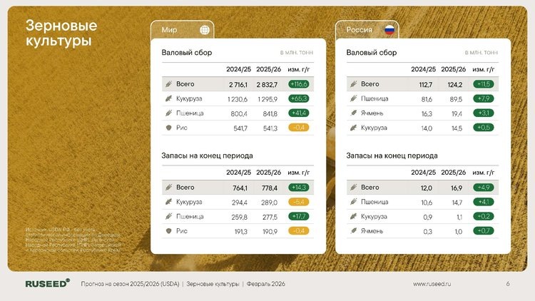     Обзор мировых рынков зерна и масличных культур за февраль 2026 года

