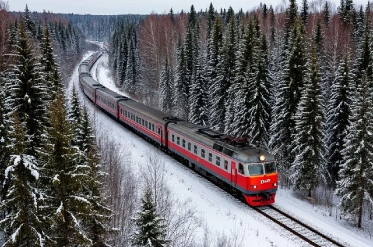    Пассажирский поезд из Забайкалья в КНР возобновит рейсы с 8 марта