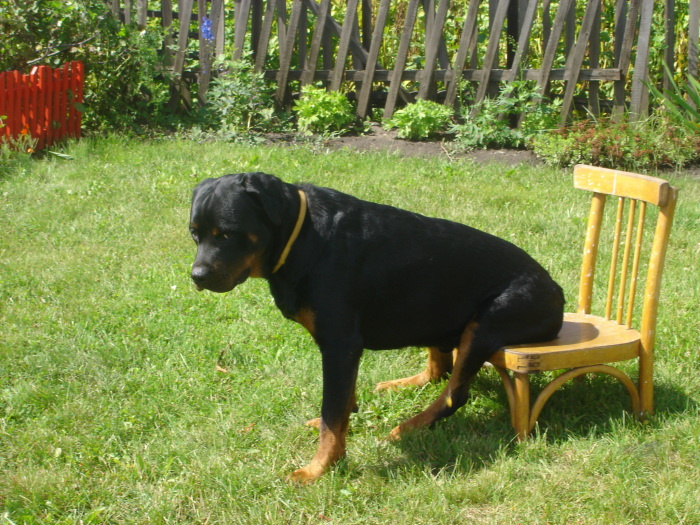 Нарочно не придумаешь: о моем Мачо с любовью и юмором