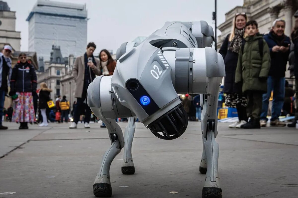 Фото: ROD OLUKOYA