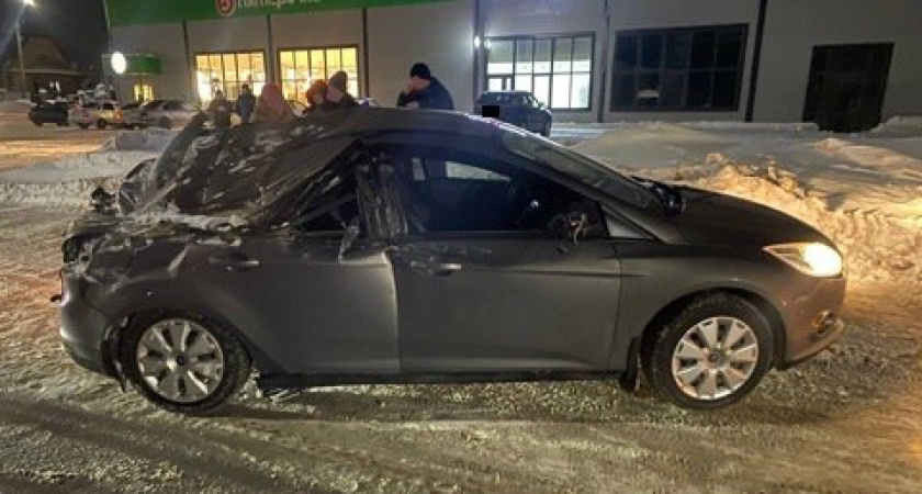    Госавтоинспекция Тамбовской области