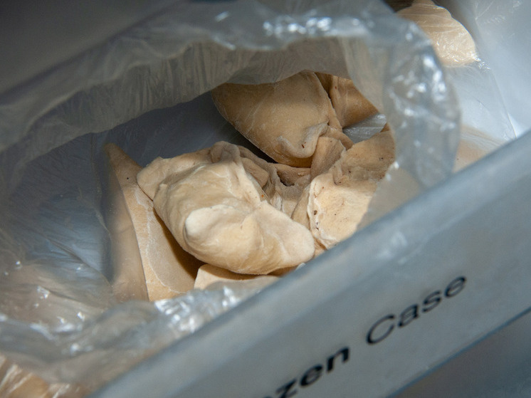     Фото: Svetlana Vozmilova/Global Look Press