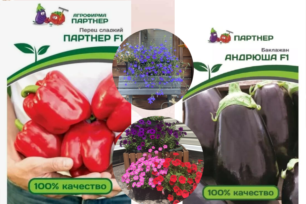 Коллаж автора, мои любимчики февраля.