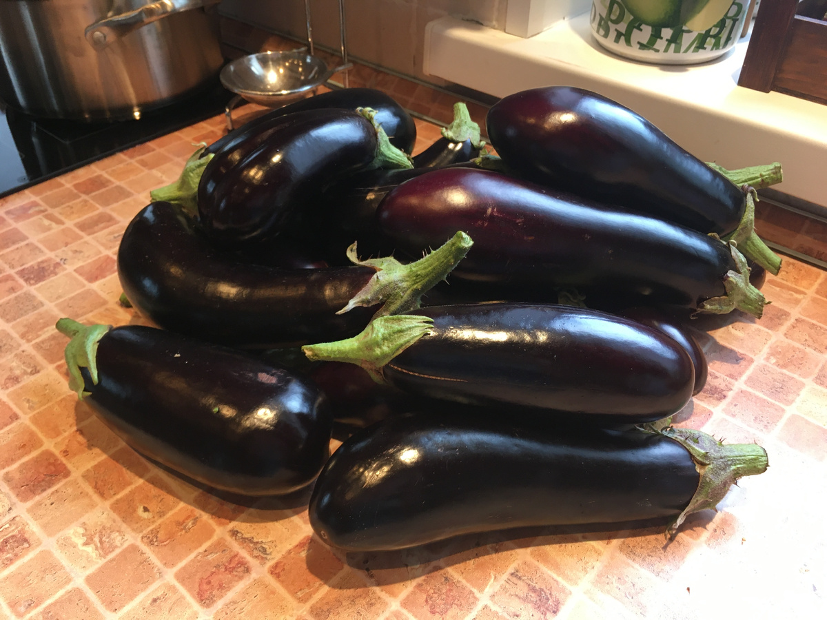 Мой любимый сорт баклажан - мясыстые, большие. Идеальны для приготовления лодочек.