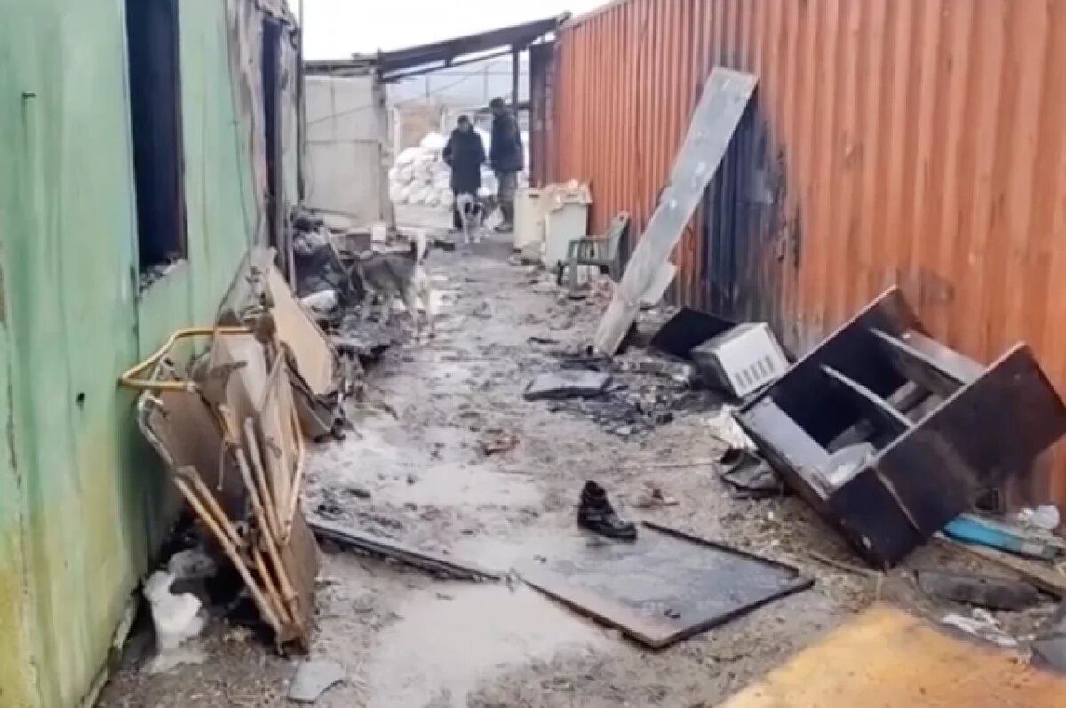    Астраханка выбила стекло и рванула в огонь, пытаясь спасти собак