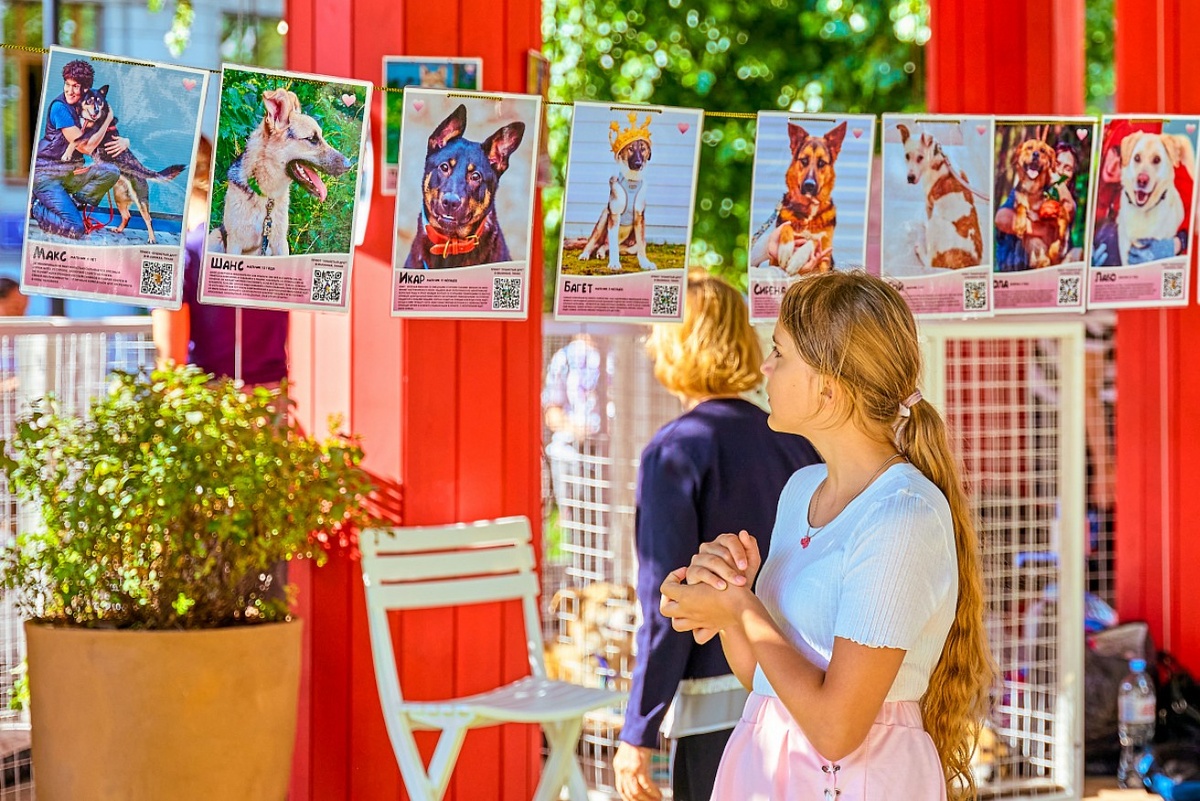 фото с сайта https://ag.mos.ru