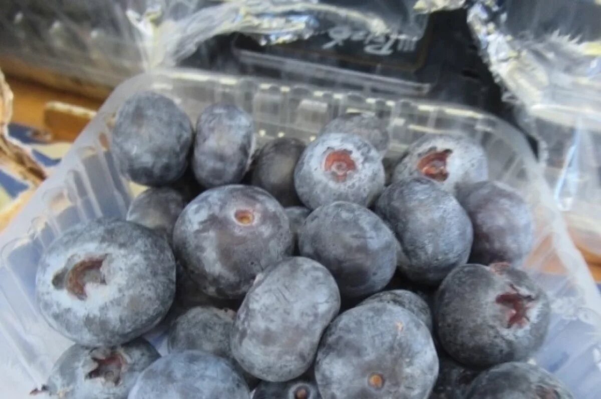    В порт Петербурга завезли 13 тонн голубики с опасными личинками