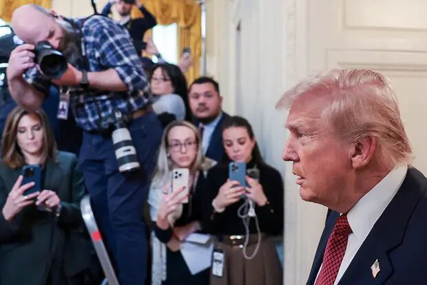    Фото: lenta.ru Мила Кузнецова