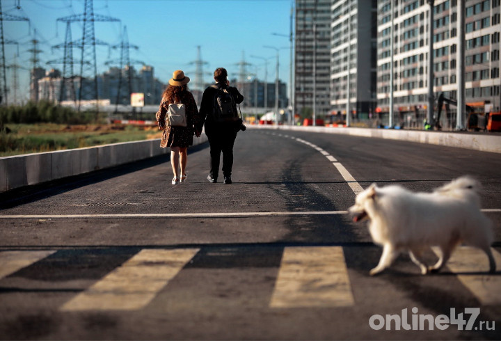 фото: Валентин Илюшин/Online47