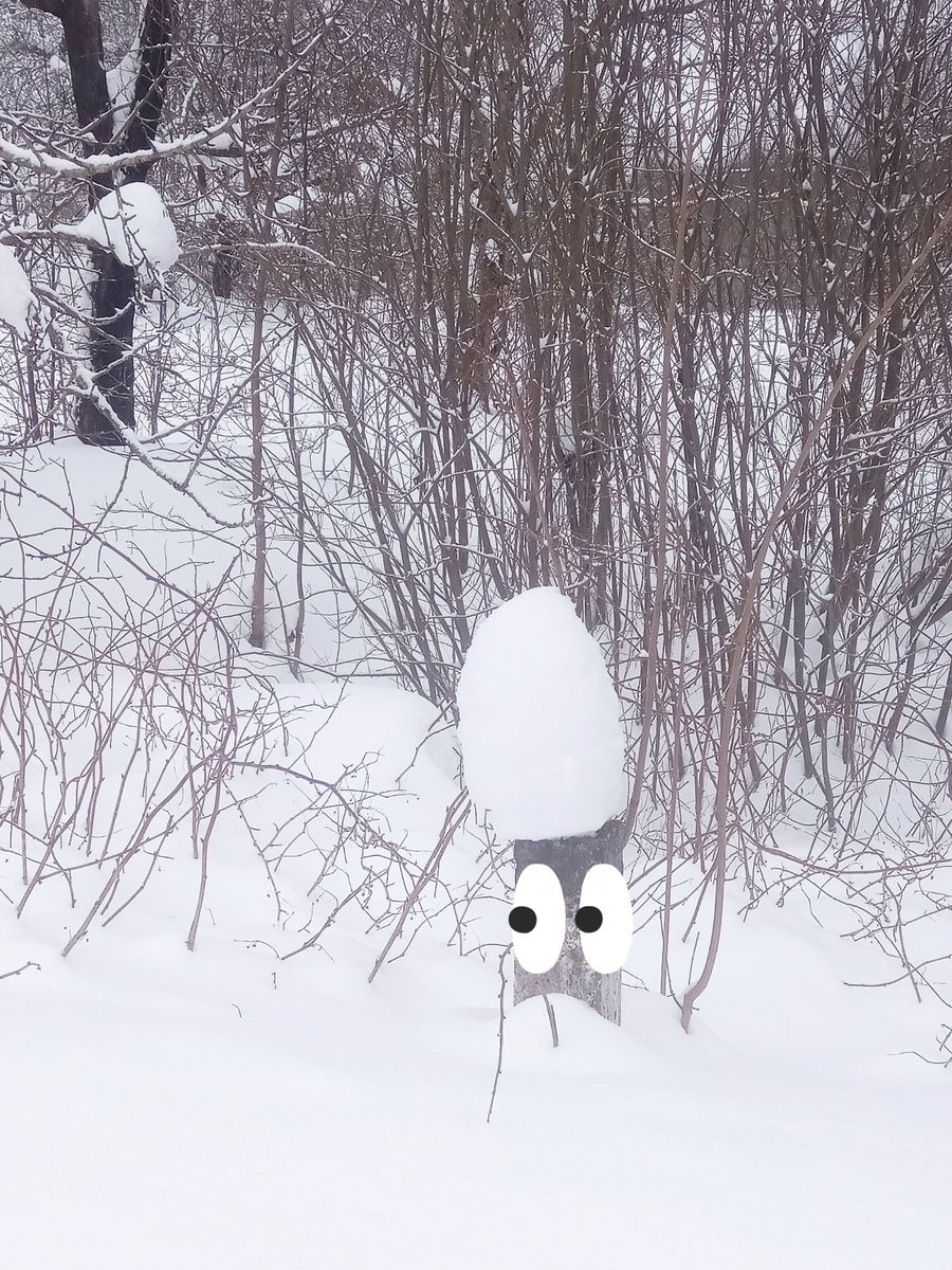 Столб выглядывает из сугроба.