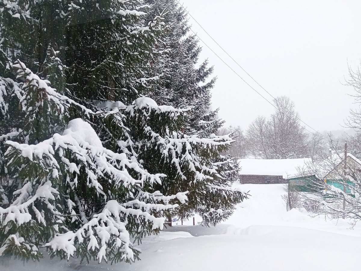 Вид из окна. 