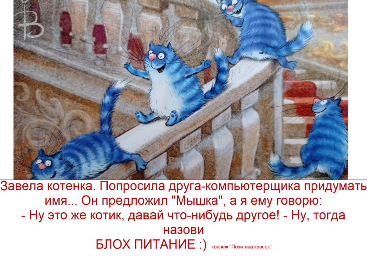 открытка из личной коллекции "Синие коты", коллаж "Позитива красок"