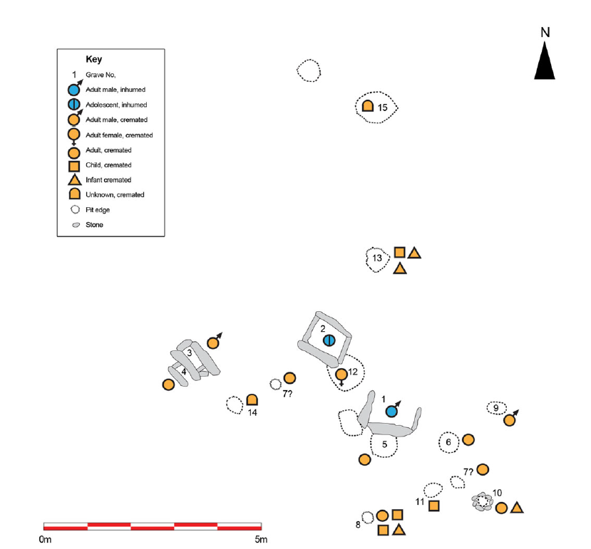 Могильник Эдмонлстаун, графство Дублин. Треугольник - младенцы, кружочки - дети, синий кружочек перечёркнутый - подросток.