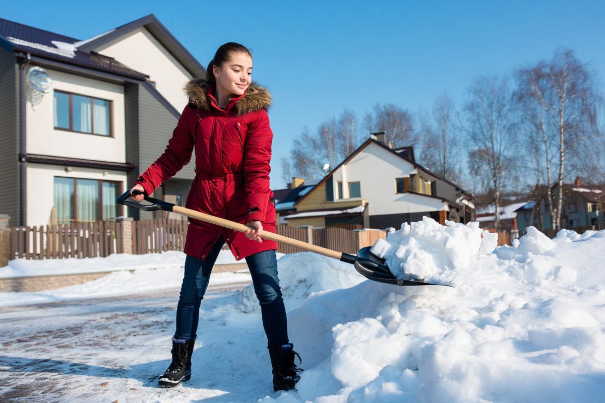 Фото: нейросеть reve