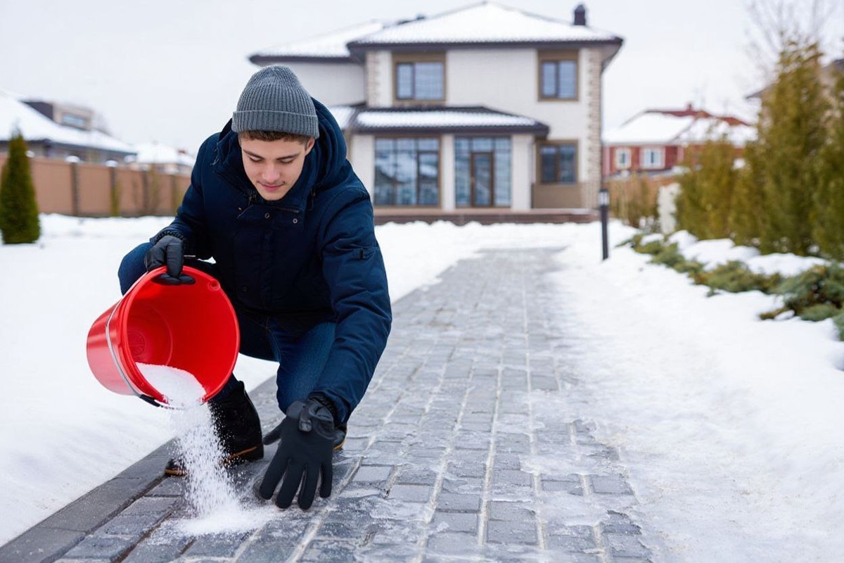 Фото: нейросеть reve