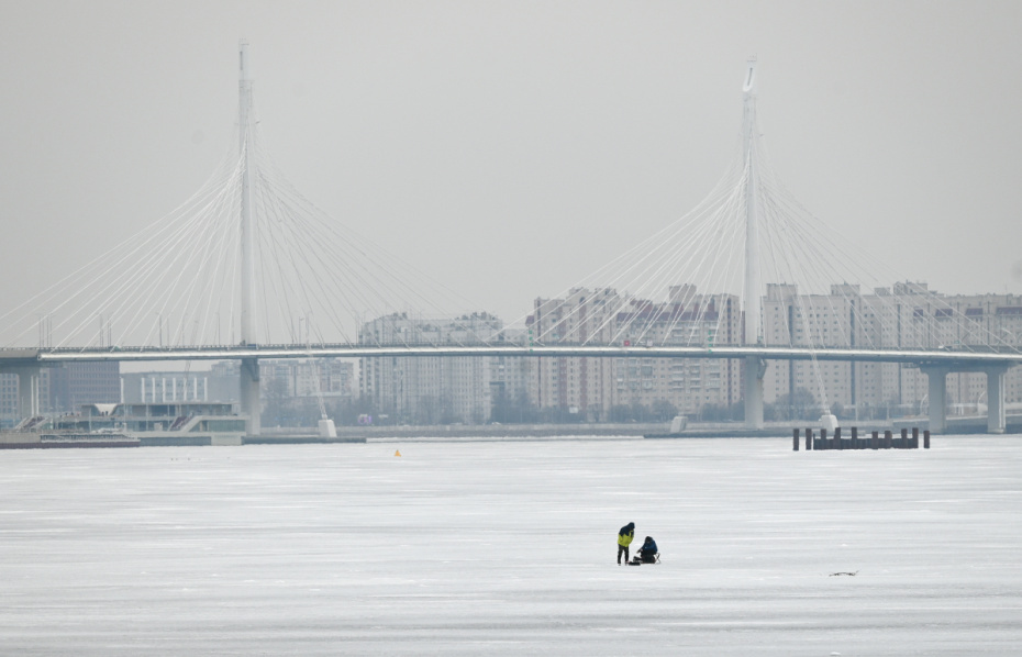    Алексей Даничев/РИА Новости