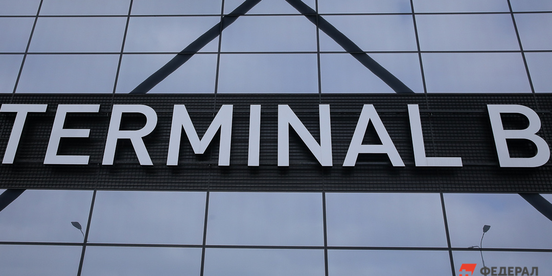 Операционные компании Домодедова стали собственностью структуры «Шереметьево»