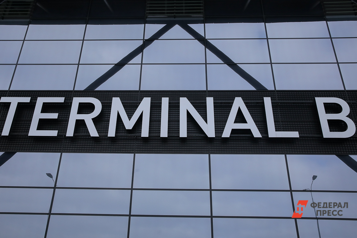 «Дочка» МАШ теперь полностью владеет 22 организациями Домодедова.  Фото: ФедералПресс / Вытольский Виктор