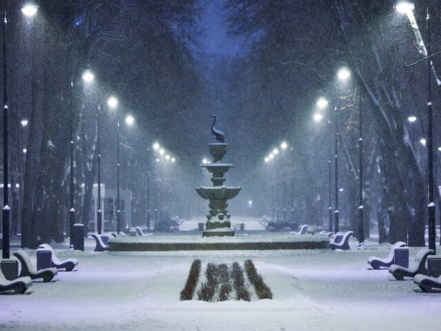    Фото: портал мэра и правительства Москвы/Максим Денисов