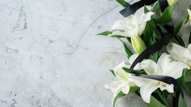    Фото: Savanevich Viktar/Shutterstock/Fotodom