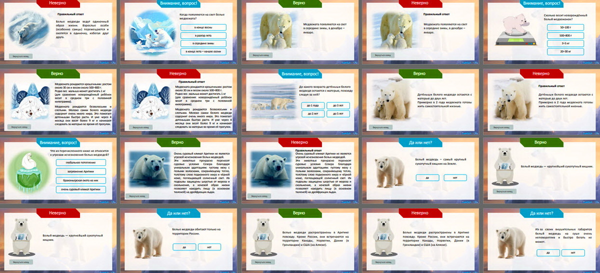 Викторина для детей про белого медведя. В презентации вопросы и ответы + текстовый вариант.
