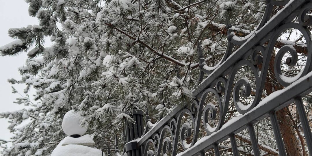 Наше утро 08:00