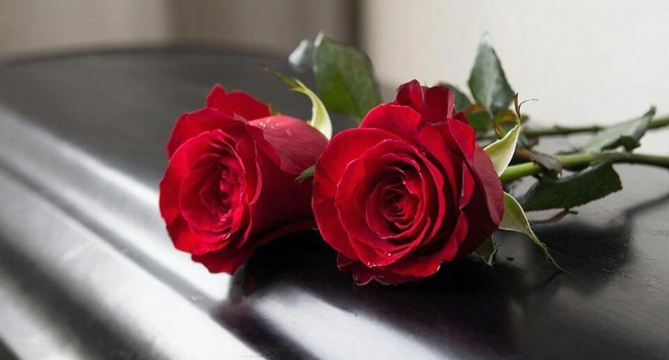    REGIONS/Сгенерировано нейросетью