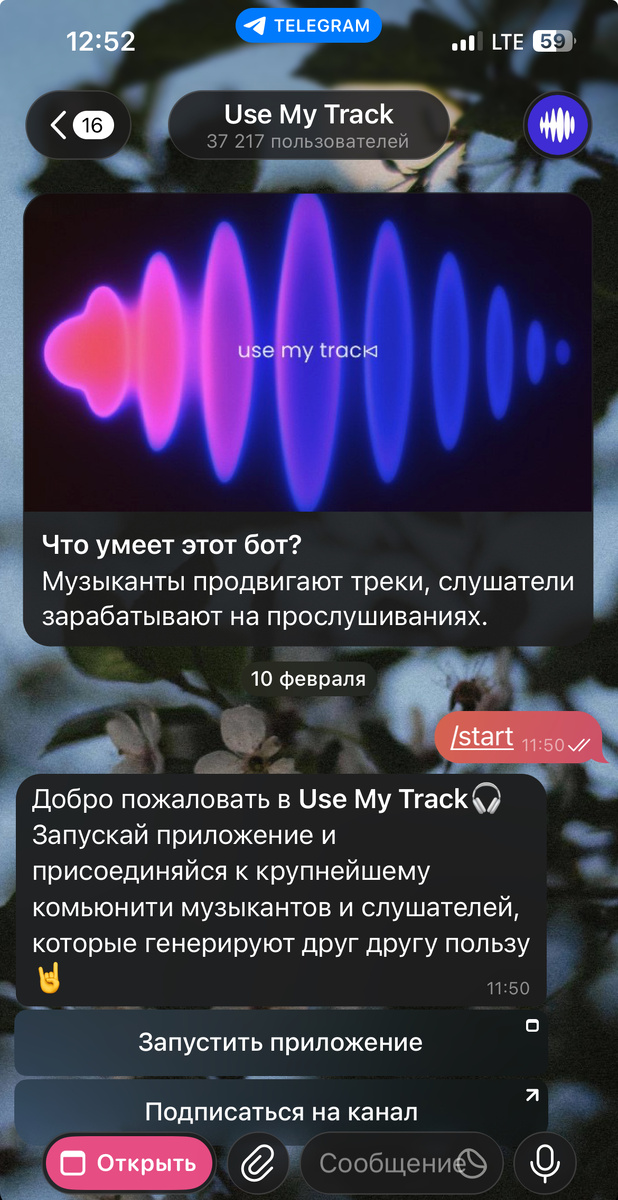 как выглядит бот