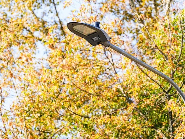    Фото: телеграм-канал "Городское хозяйство Москвы"