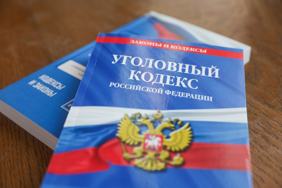    Наталья Шатохина/NEWS.ru