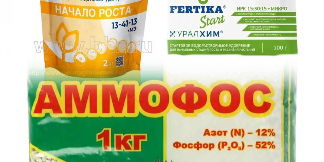 Весна на носу: вооружись и люби свои гортензии правильно» 💕✂️