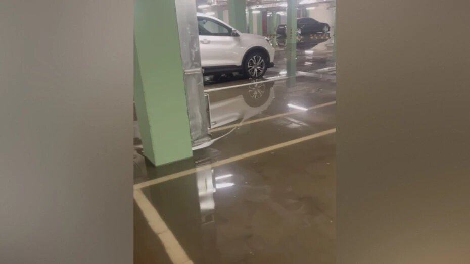    Автор фото: t.me/voronezh_r36