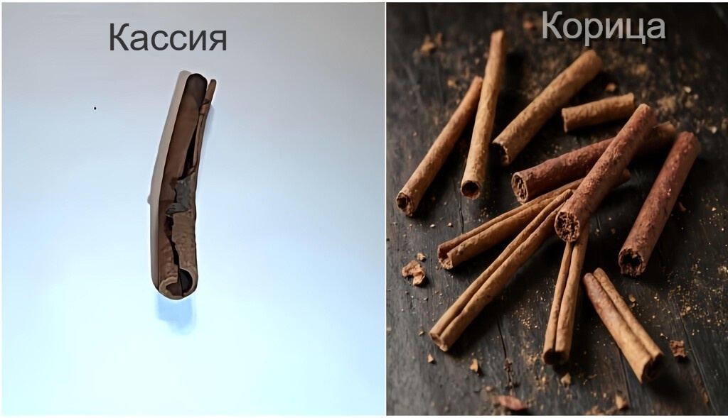 Кассия и корица