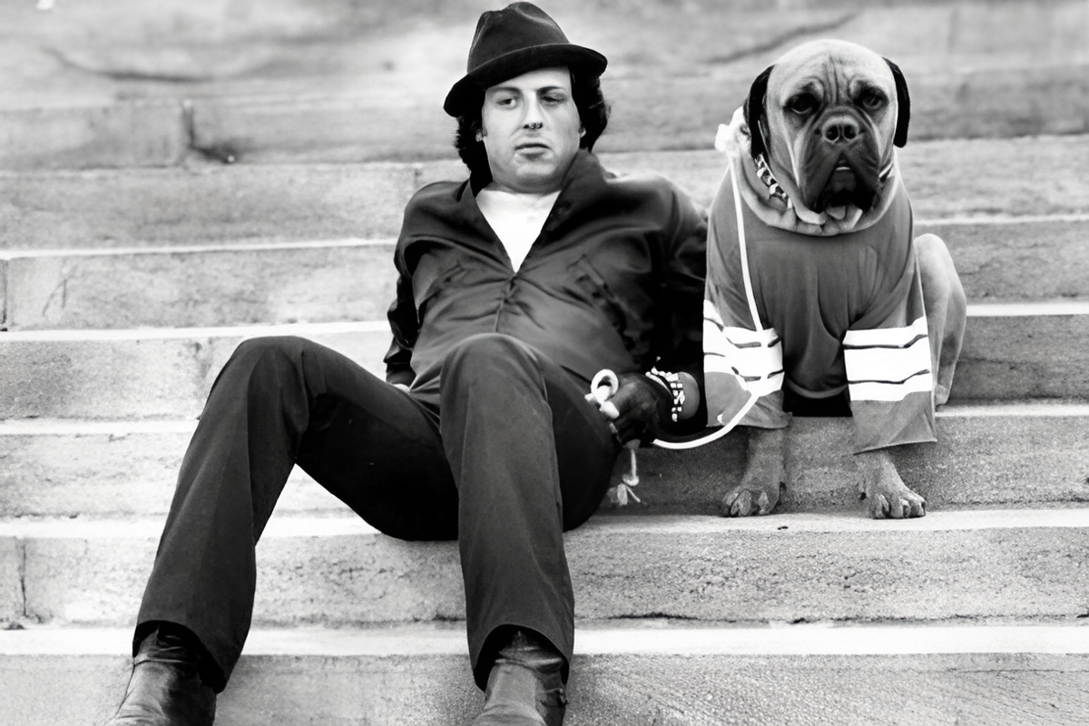 Фото взято из открытых источников