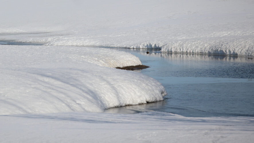    Фото: KazanFirst