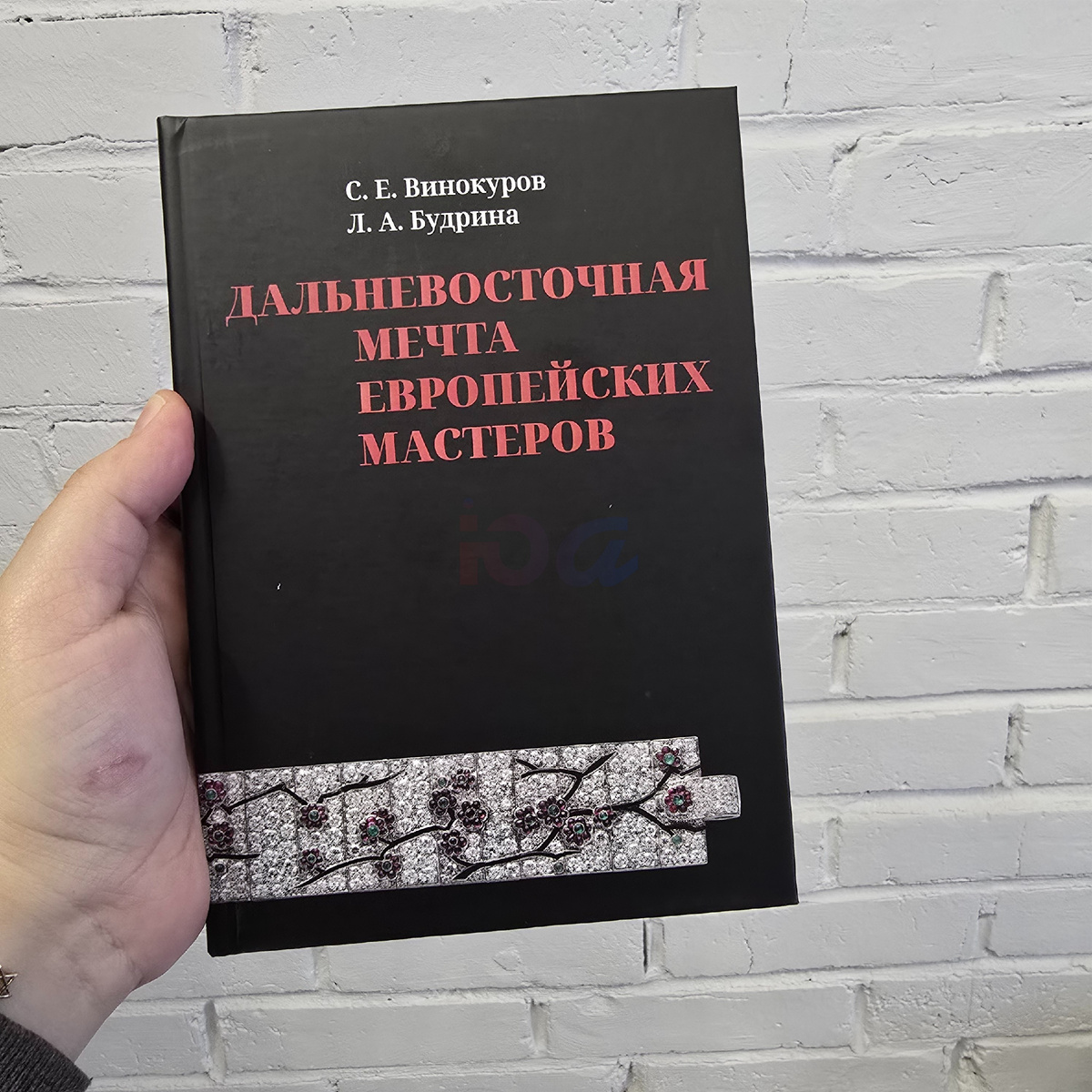 Обложка монографии, фото мое