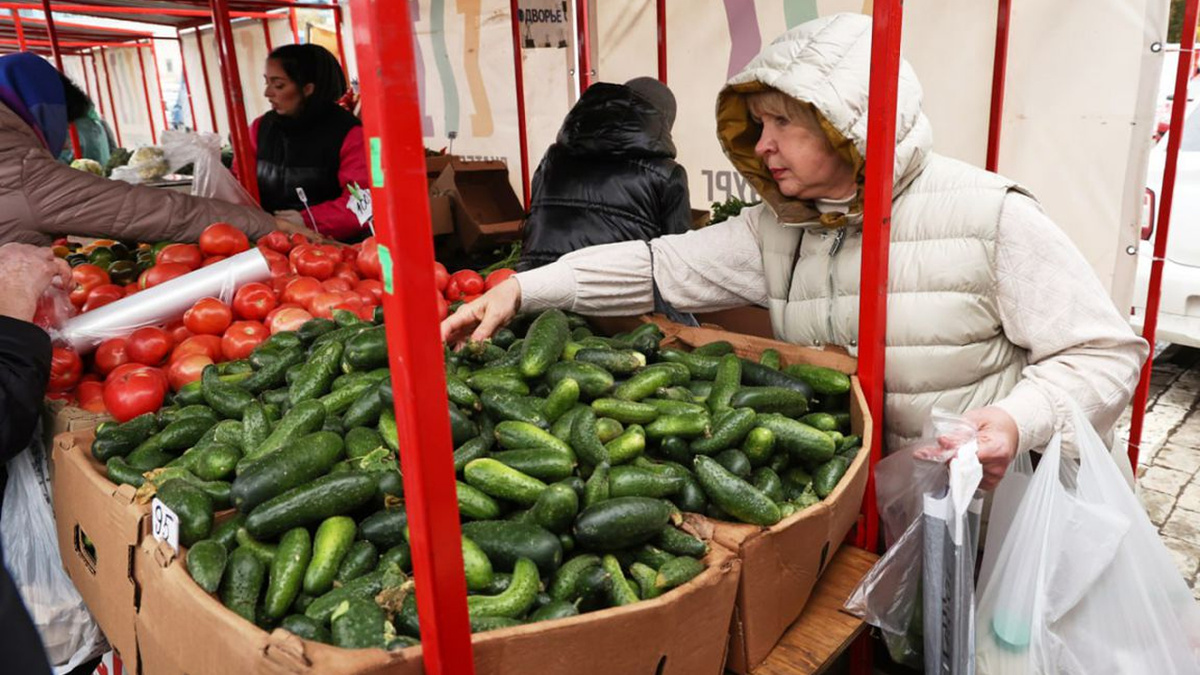 Огуречный переполох: рынок лихорадит, ФАС проверяет