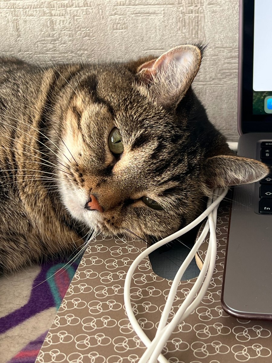 «Люди все врут! Я к удаче!»