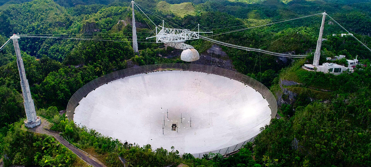 «Большое ухо», (источник: shazoo.ru)