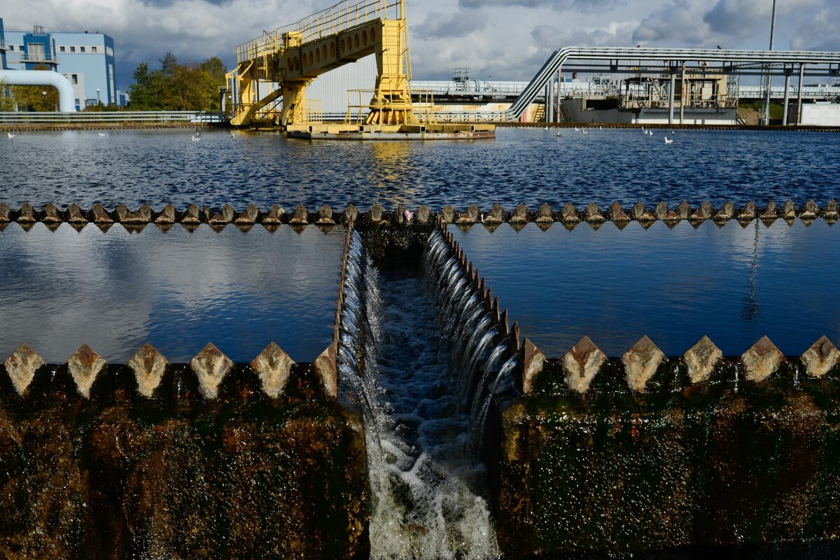 Автор фото: Сергей Ермохин / "ДП"