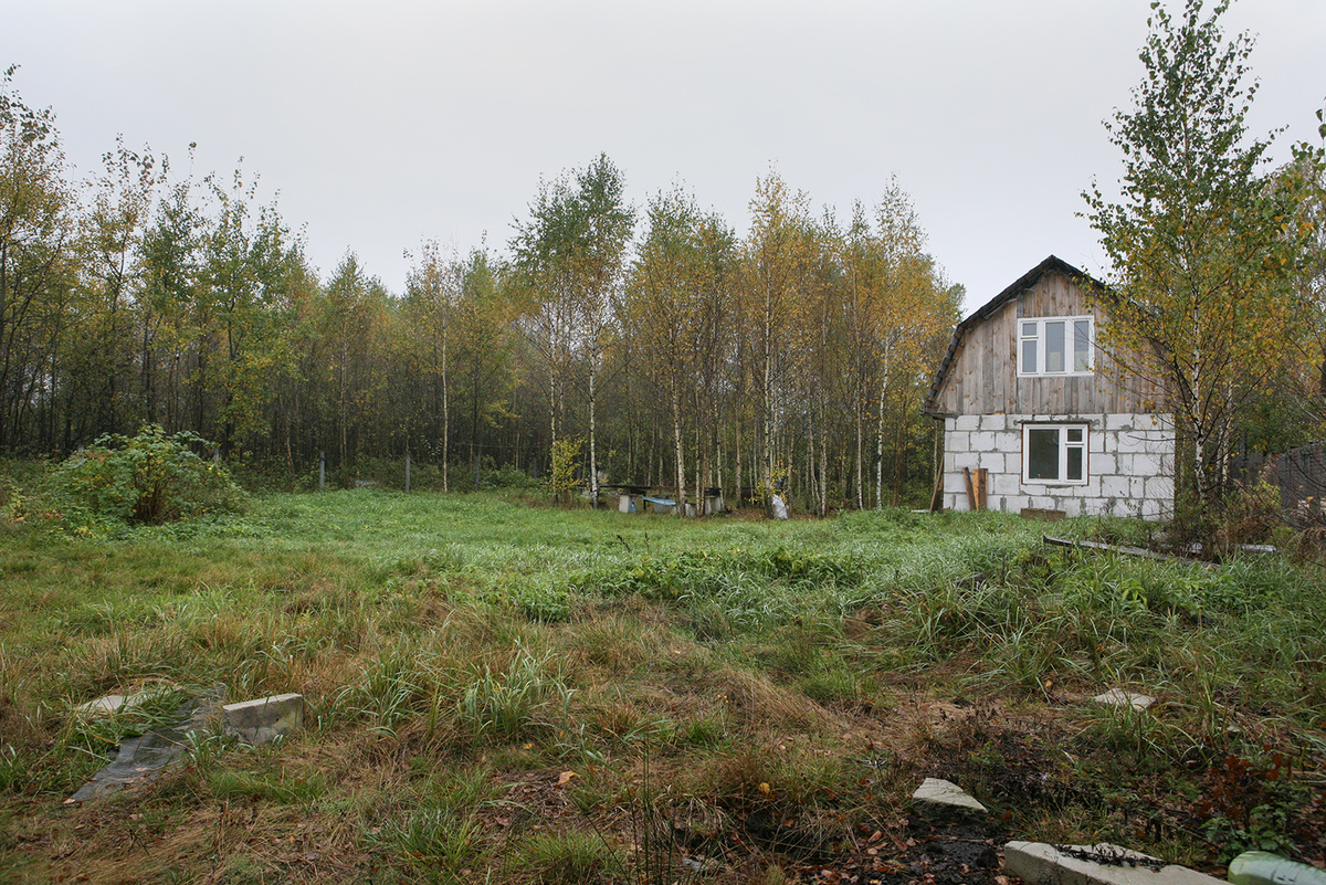 Мой участок при покупке