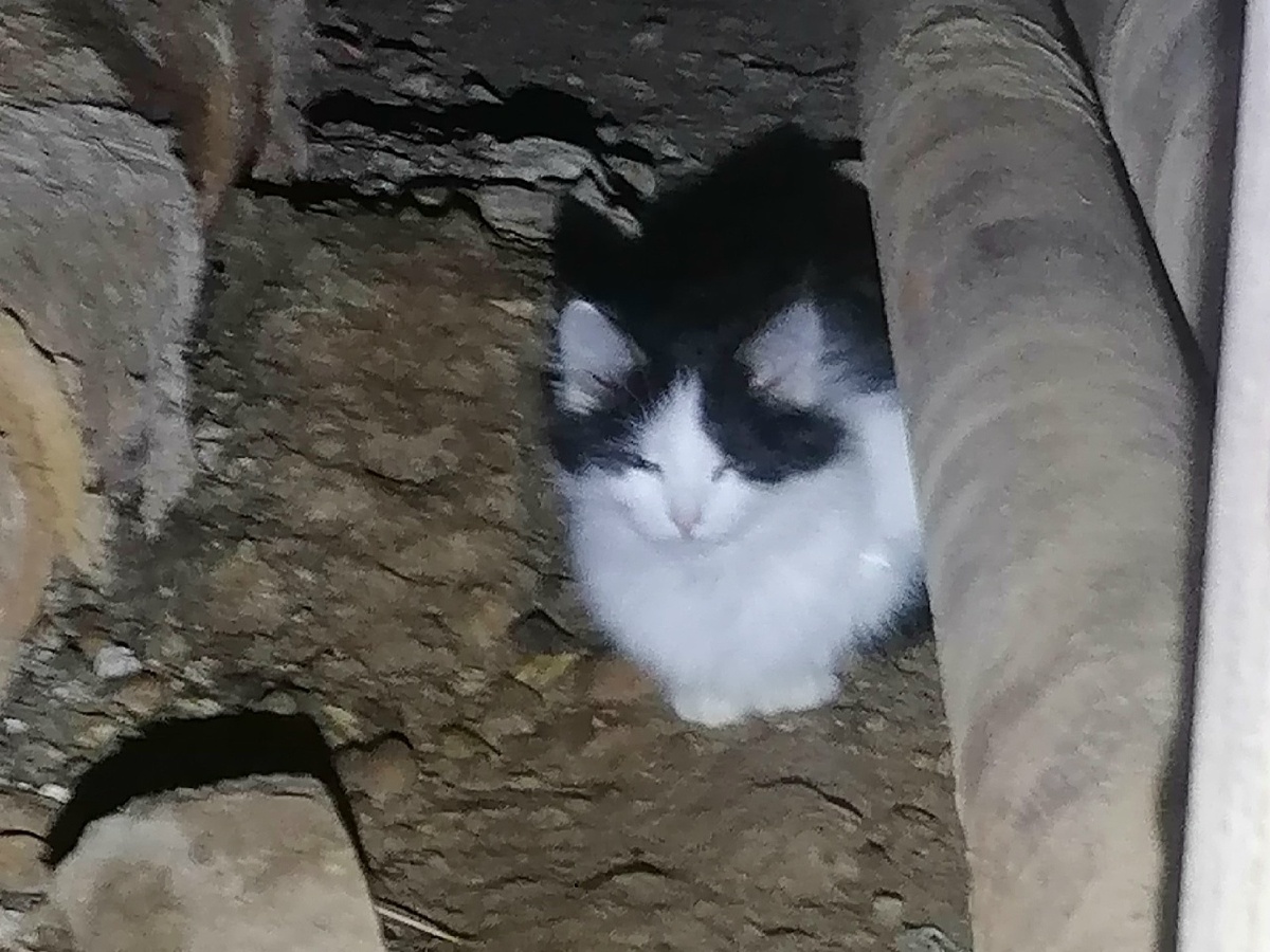 Темнота и сырость окружали Раю с рождения