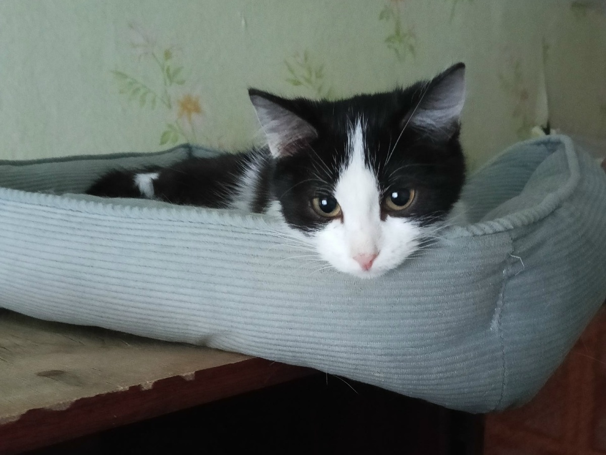 Сейчас Раечка открывает для себя новый мир