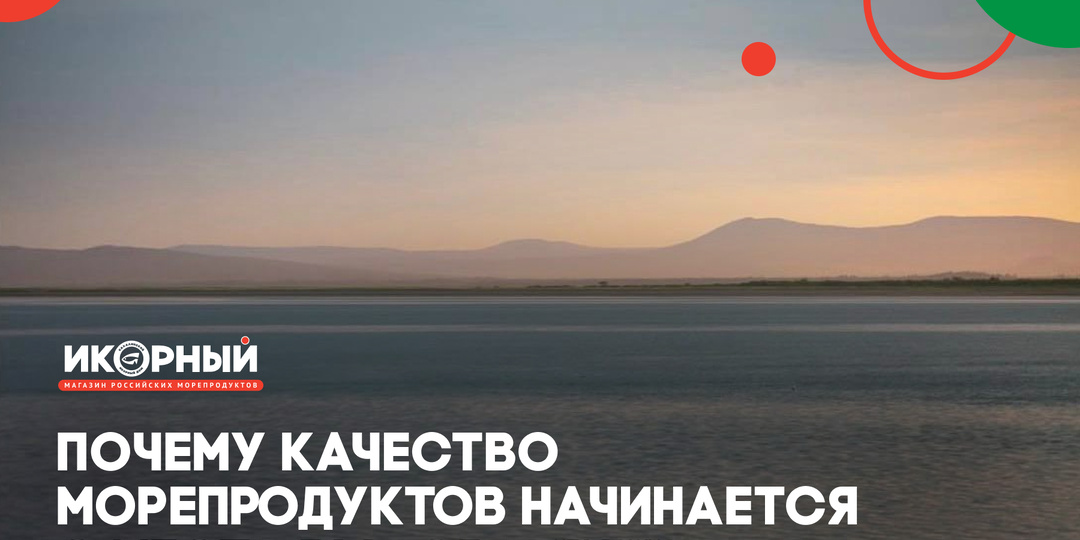 Почему качество морепродуктов начинается с места вылова: что важно знать каждому
