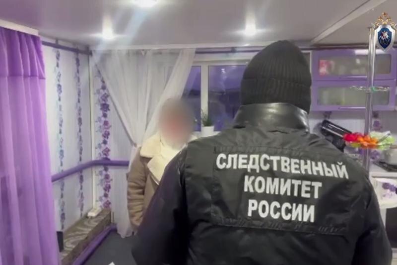    СУ СКР по Челябинской области. Подозреваемая и сотрудник СК