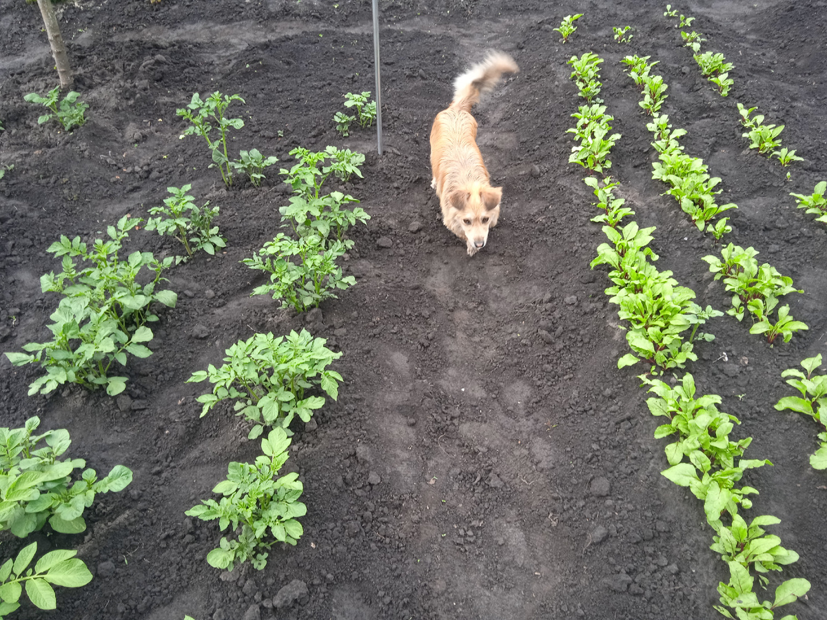 Вот так мы Отдыхаем!!!