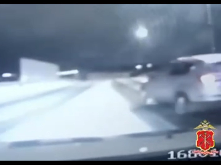     Фото: скрин/видео пресс-службы ГУ МВД по Петербургу и Ленобласти.