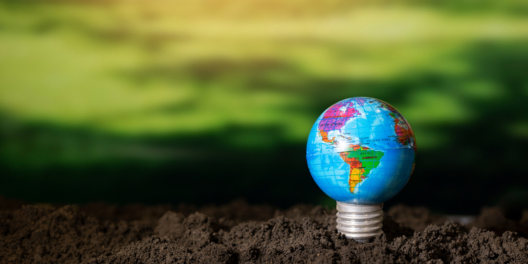 Элемент Земля: наш внутренний огород, который никогда не спит